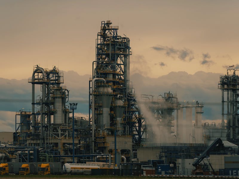 pexels-photo-15893881-2