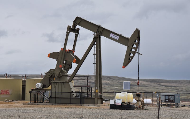 pexels-photo-16852979